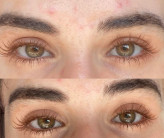 ریمل قهوه ای آینه دار کاریته